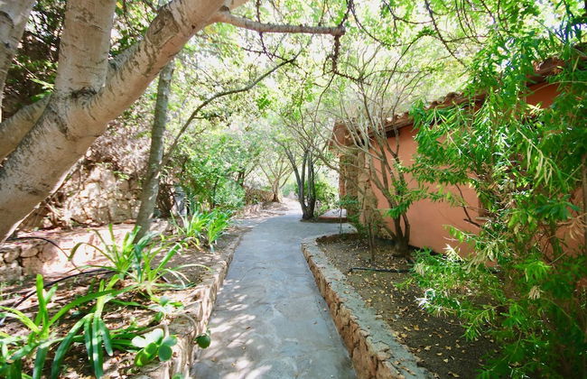 Villa Ginepro - Photo 19