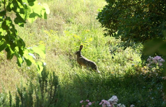 Holiday Home in Dicomano - Foto 38