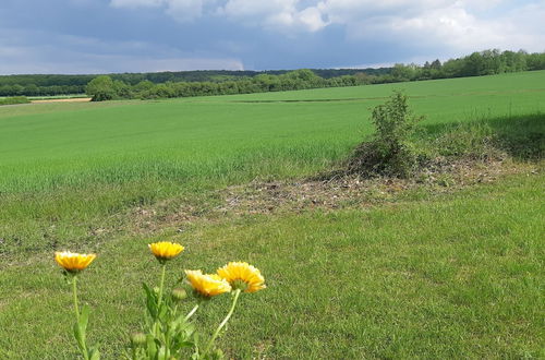 Photo 35 - Village vacances Chatel-Censoir