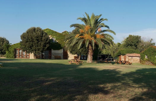La Selva - Foto 27