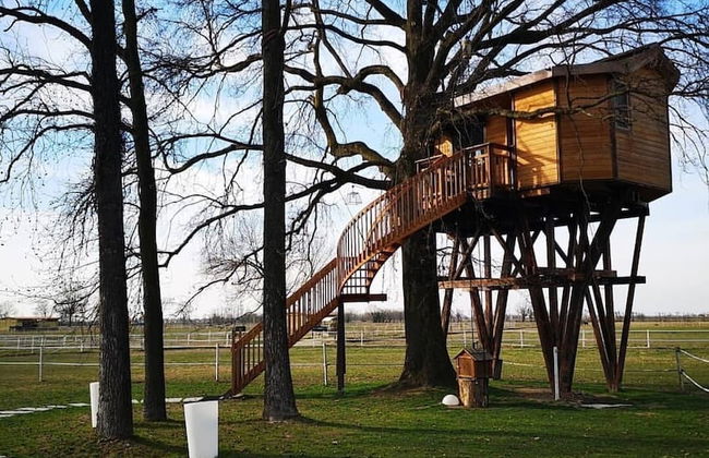 Agriturismo Relais Tenuta il Cigno - Foto 60