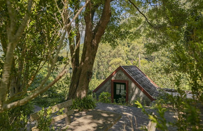 In Laurissilva Forest, Casa do Lanço -carvalho - Foto 44
