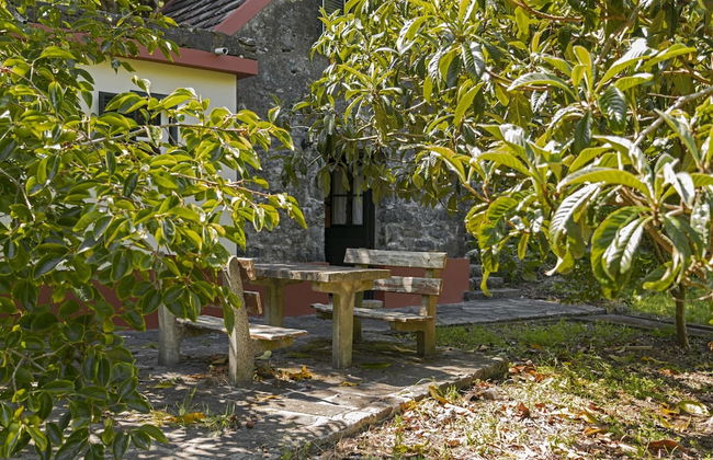 In Laurissilva Forest, Casa do Lanço -carvalho - Foto 56