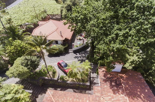 Foto 55 - In Laurissilva Forest, Casa do Lanço -carvalho