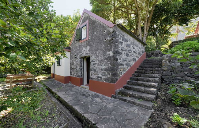 In Laurissilva Forest, Casa do Lanço -carvalho - Foto 57