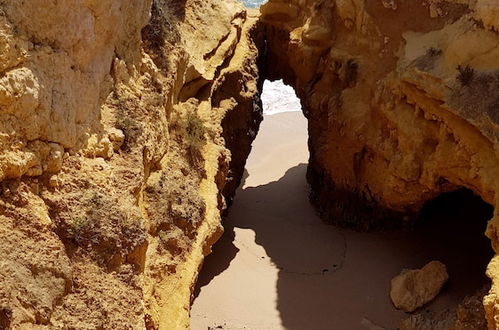 Photo 44 - Albufeira One Step into the Water 12