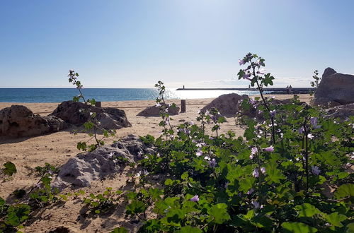 Photo 58 - Albufeira One Step into the Water 12