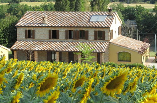 Photo 42 - Agriturismo La Vecchia Fonte