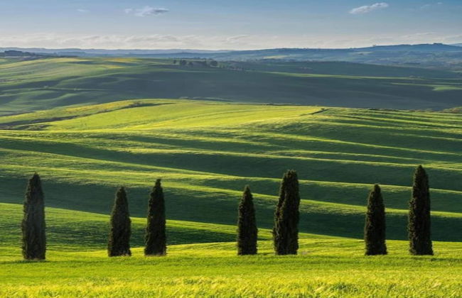Tuscan Style Apartment with View of the Hills - Photo 39