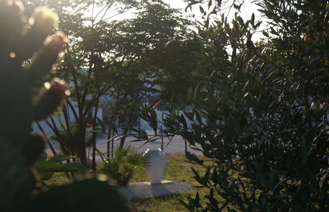 Masseria di Benedetto - Foto 45