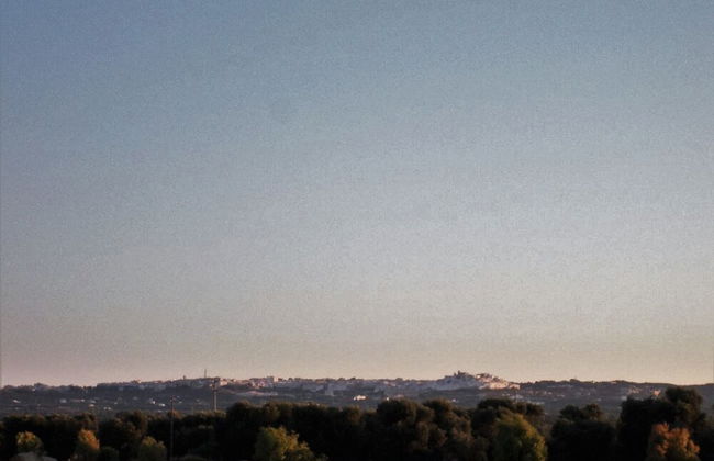 Masseria di Benedetto - Foto 58