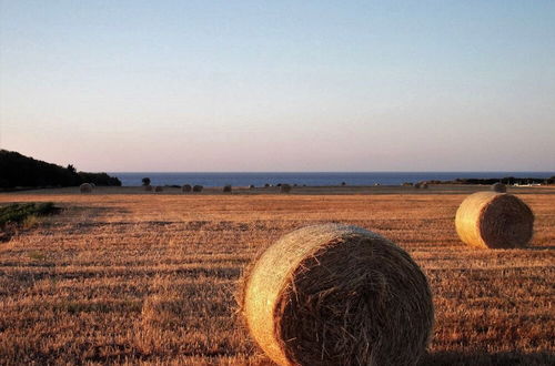 Photo 31 - Masseria di Benedetto