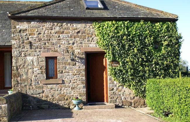 Gill Cottage - Foto 10