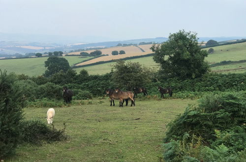 Photo 41 - Slowley Farm Cottage