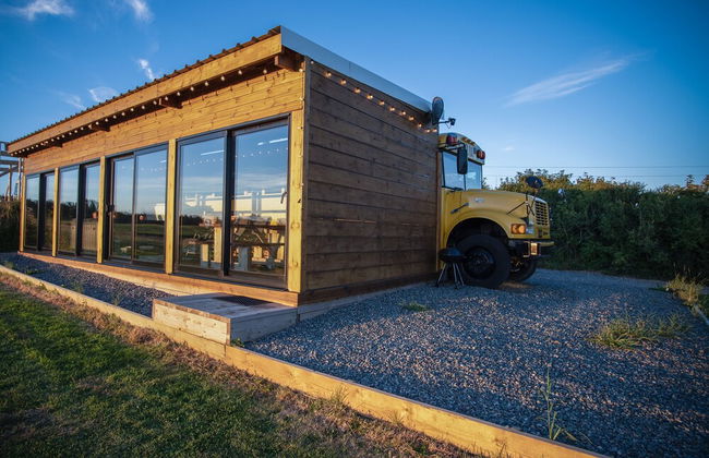 American School Bus - Blossom Farm - Foto 37
