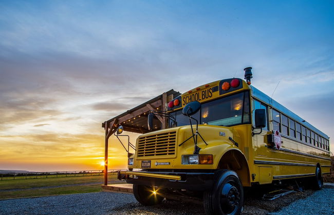 American School Bus - Blossom Farm - Foto 1