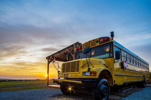 Photo 1 - American School Bus - Blossom Farm