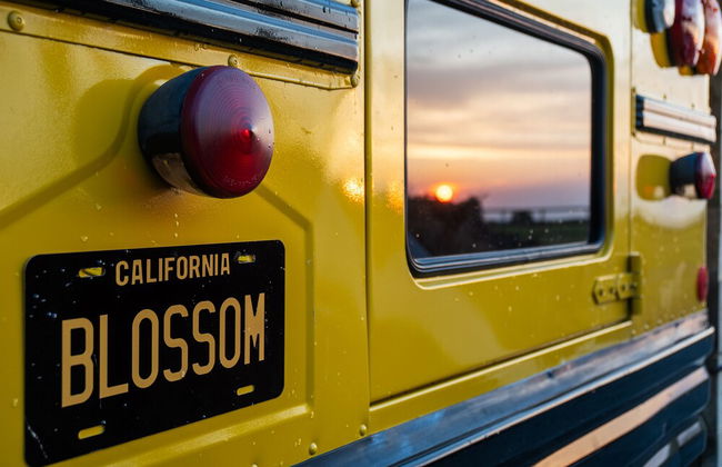 American School Bus - Blossom Farm - Foto 32