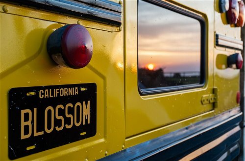 Photo 32 - American School Bus - Blossom Farm