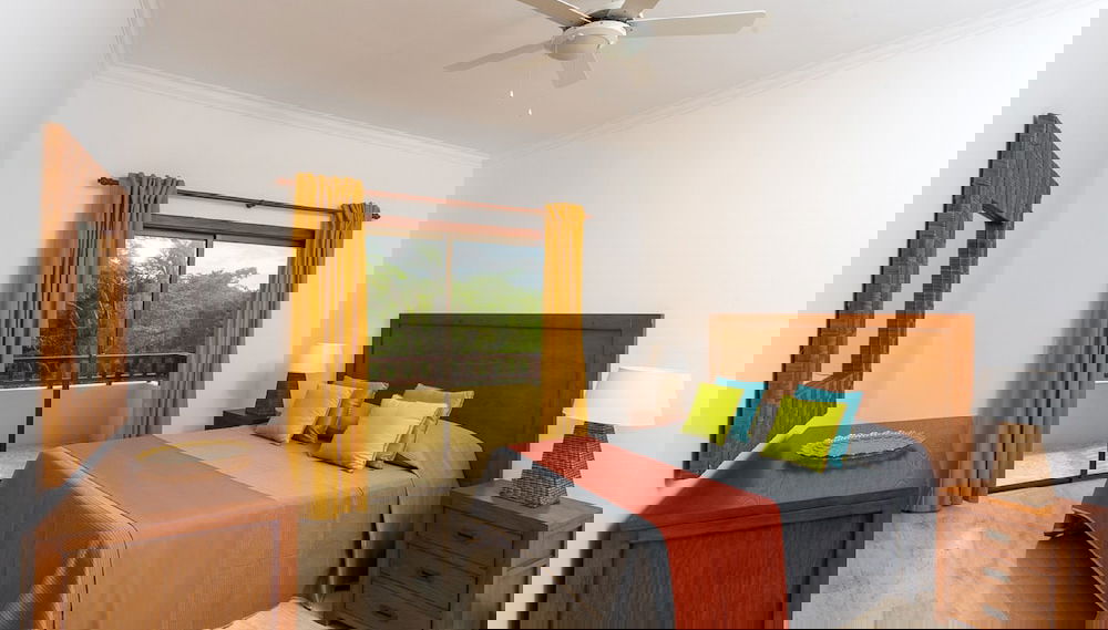 Image principale