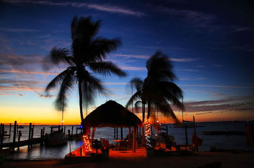 Photo 1 - Key Largo Cottages