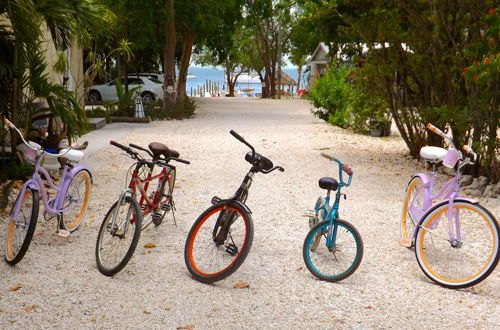 Photo 75 - Key Largo Cottages