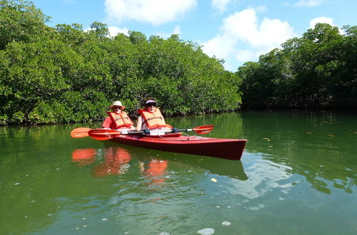 Foto 77 - Key Largo Cottages