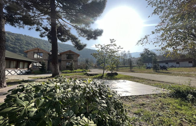 Sapanca muratbey - Photo 8