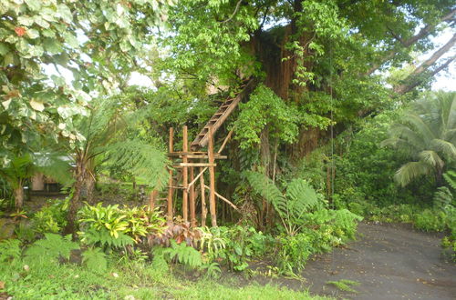 Photo 27 - Castle Tree House