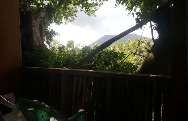 Castle Tree House - Photo 7