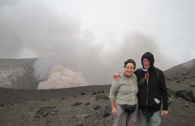 Castle Tree House - Photo 18