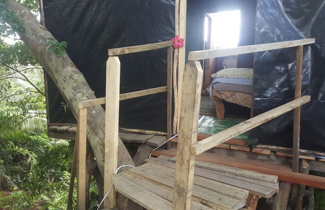 Castle Tree House - Photo 55