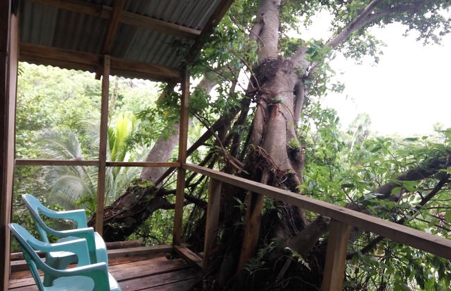 Castle Tree House - Photo 56