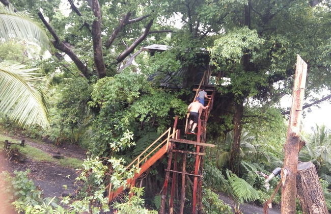 Castle Tree House - Photo 50