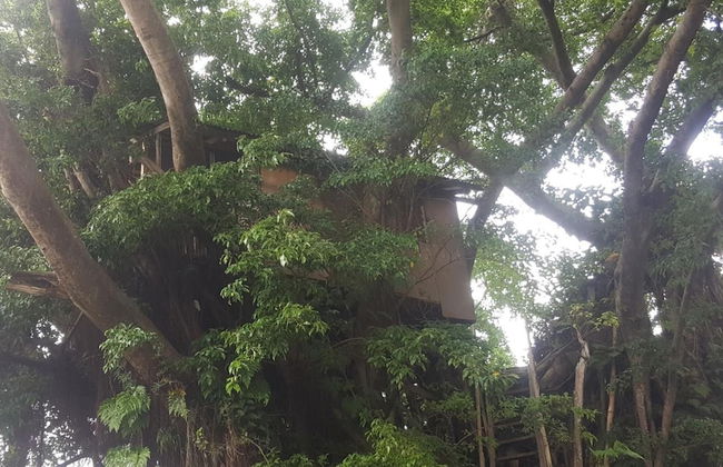 Castle Tree House - Photo 41