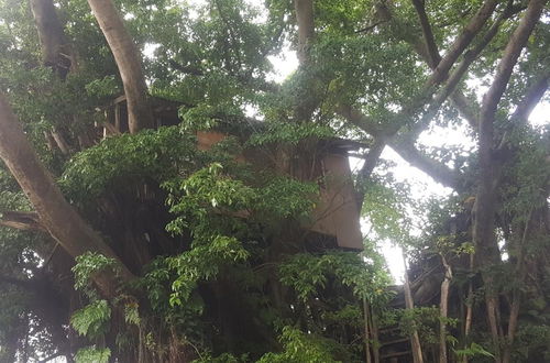 Photo 41 - Castle Tree House