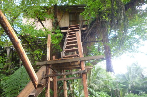 Photo 1 - Castle Tree House