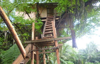 Photo 1 - Castle Tree House