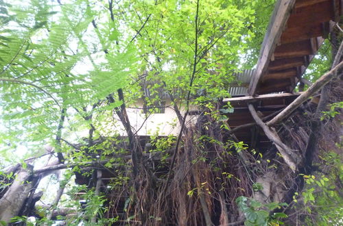 Photo 54 - Castle Tree House