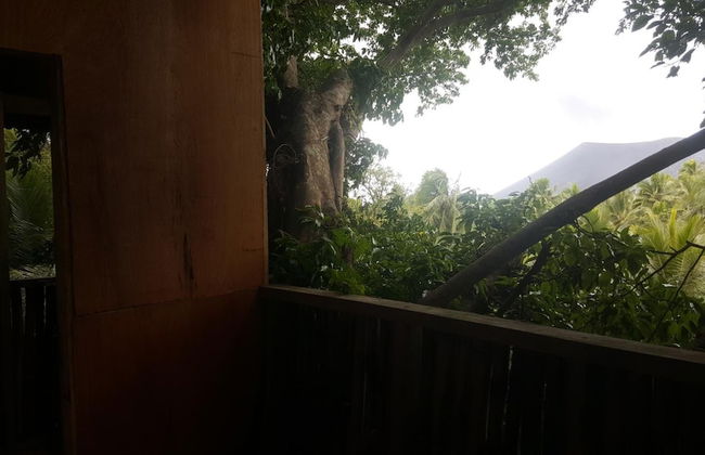 Castle Tree House - Photo 36