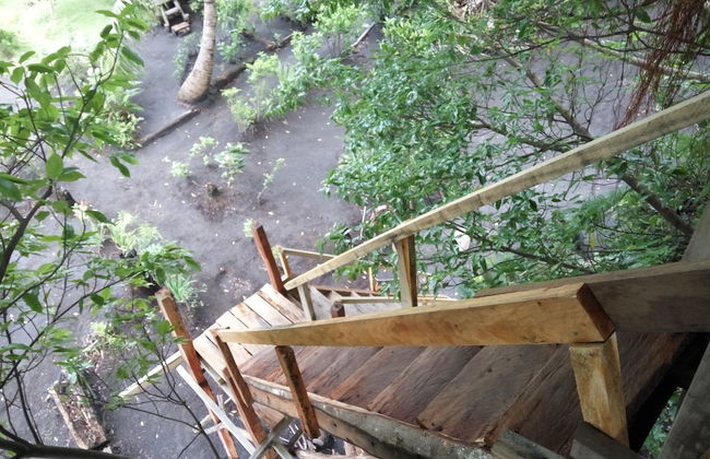 Castle Tree House - Photo 26