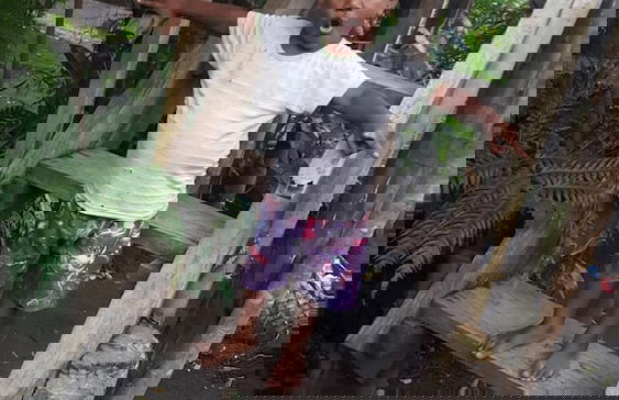 Castle Tree House - Photo 37