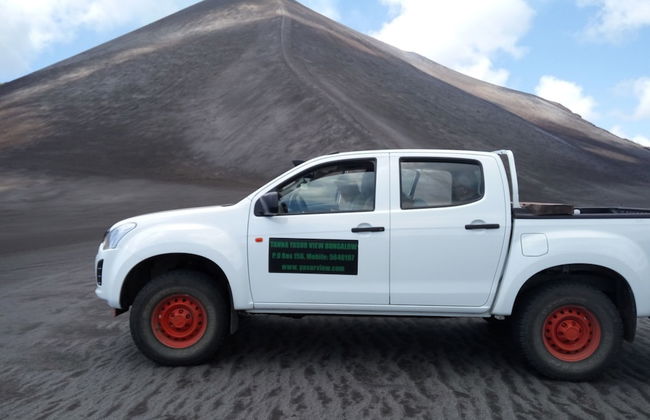 Castle Tree House - Photo 51