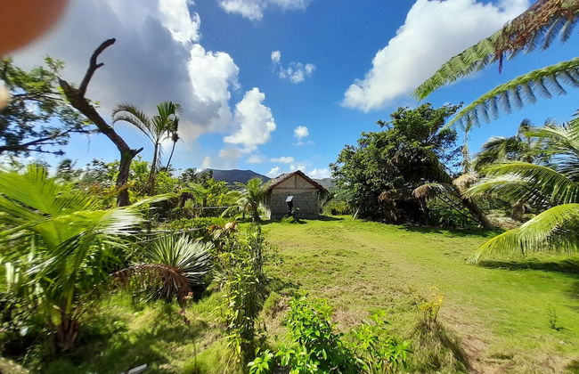 Castle Tree House - Photo 49