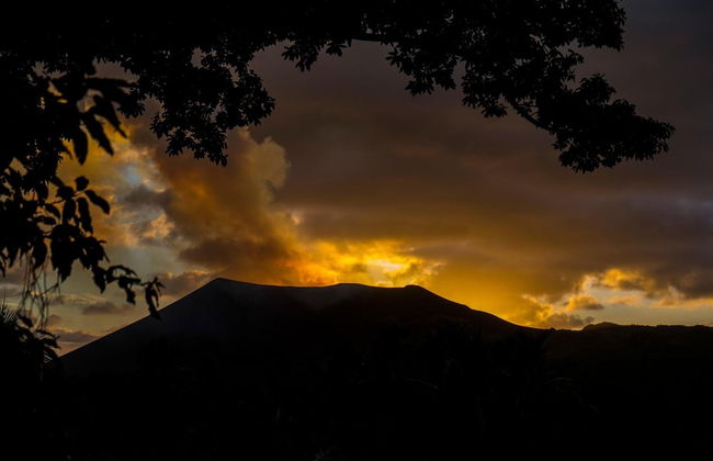 Castle Tree House - Photo 17