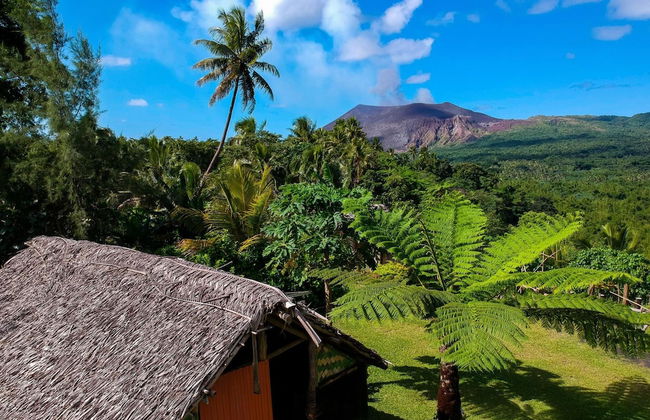 Castle Tree House - Photo 35