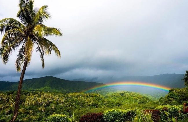 Castle Tree House - Photo 30