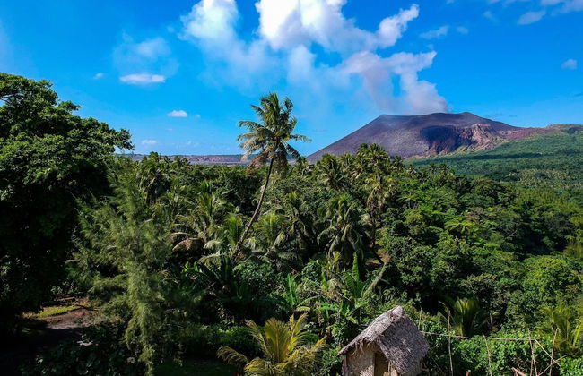 Castle Tree House - Photo 43