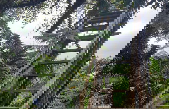 Castle Tree House - Photo 38