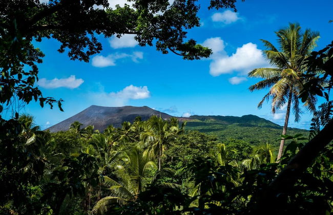 Castle Tree House - Photo 42